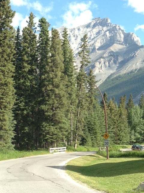 Photo © Caron Eastgate Dann 2013. The Crayon Files