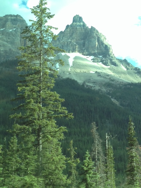 ©Caron Eastgate Dann 2013