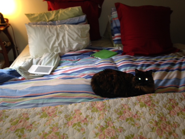 Halloween birthday girl-to-be Lucy Locket gets spooky on Monday morning.  Picture by Caron Eastgate Dann