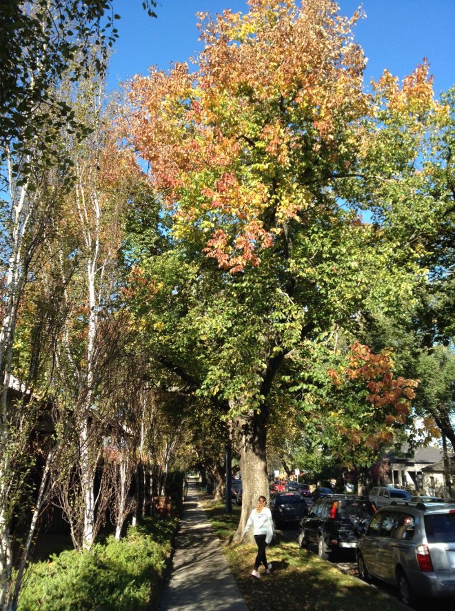 Picture: Caron Eastgate Dann, 2014